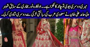 Singer Wali Hamid Ali Khan's Wedding Pictures