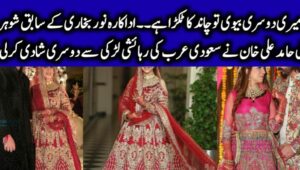 Singer Wali Hamid Ali Khan’s Wedding Pictures