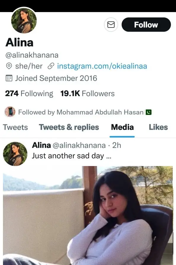 Aleena Khan Social Media Handle