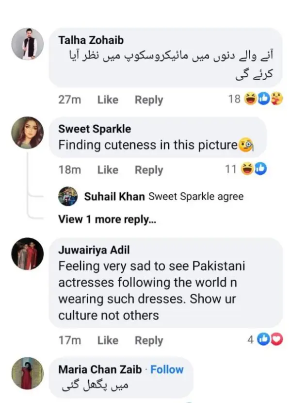Alizeh Shah Gets Trolled