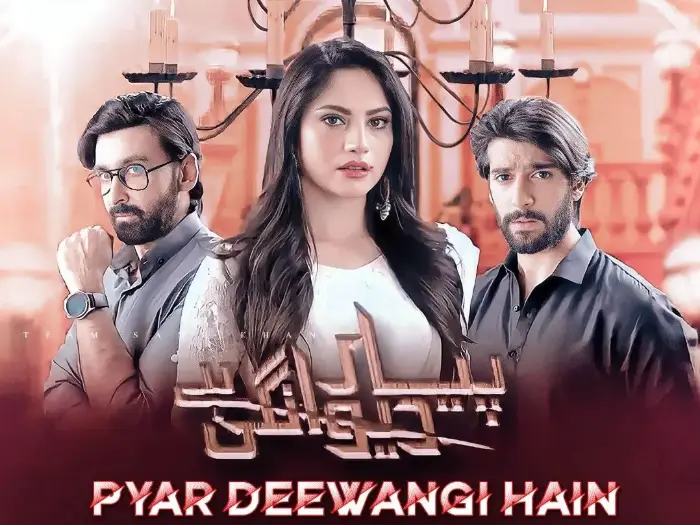 Pyar Deewangi Hai Drama Cast