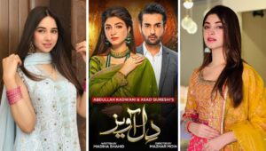 Dil Awaiz Drama Cast Name, Pictures, Story, & Timing