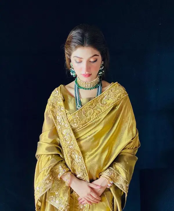 Kinza Hashmi dressed in a beautiful saree