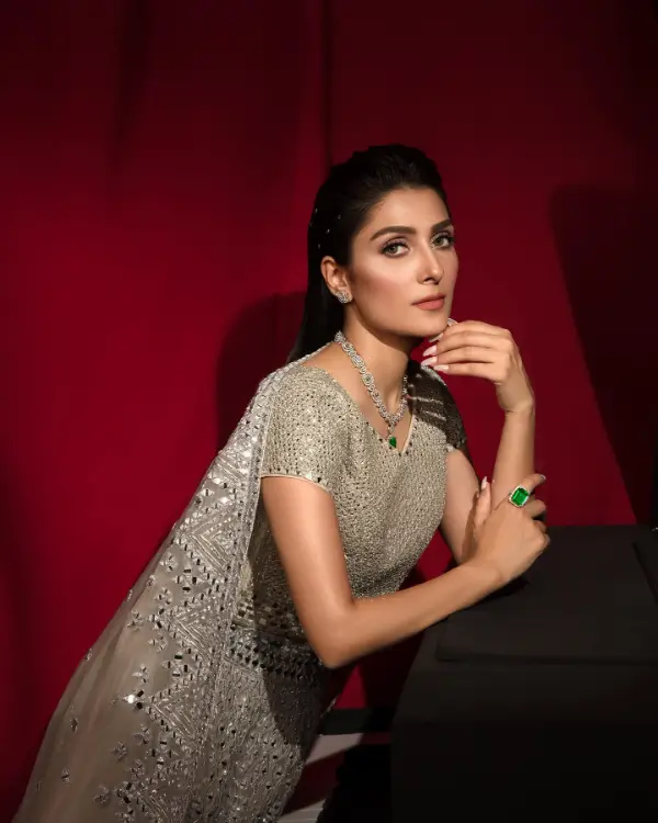 Ayeza Khan took home the award for Best Television Actress for her work in the drama serial Chupke Chupke.
