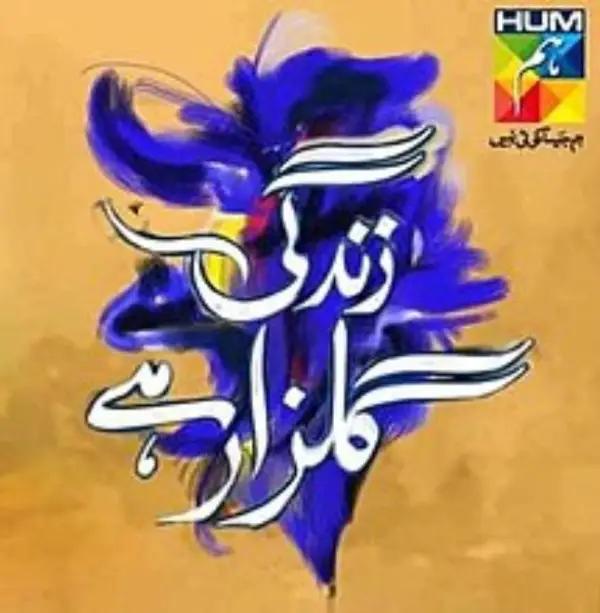 Zindagi Gulzar Hai Drama Cast Name, Pictures, & Story - Hum TV