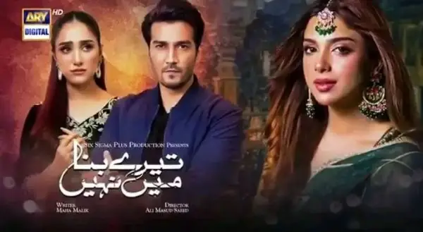 Tere Bina Mein Nahi Drama Cast Name, Pictures, & Story - ARY Digital