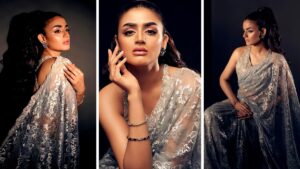 Hira Mani Blazes the Scene in an Elegant Silver Saree