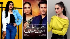 Tere Bina Mein Nahi Drama Cast Name, Pictures, & Story - ARY Digital