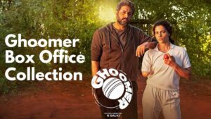 ghoomer-box-office-collection