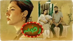 Razia Drama Cast: Name and Picture – Express TV